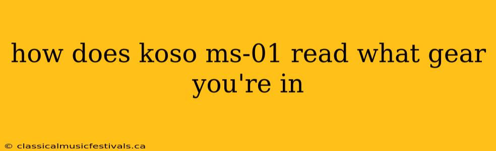 how does koso ms-01 read what gear you're in