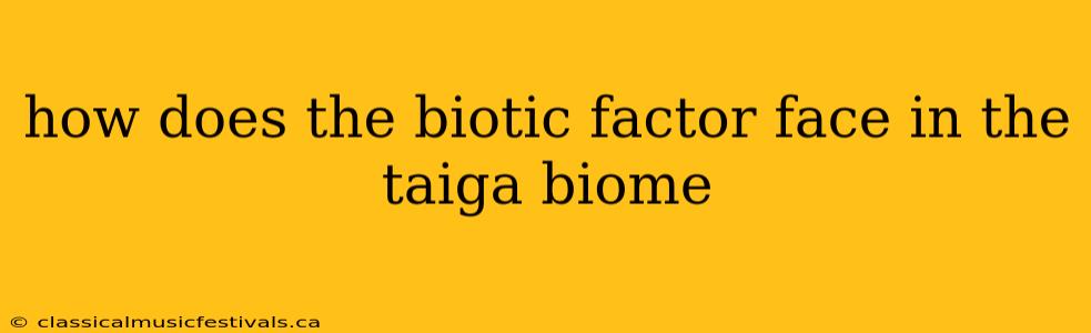 how does the biotic factor face in the taiga biome