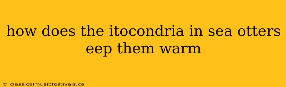 how does the itocondria in sea otters eep them warm