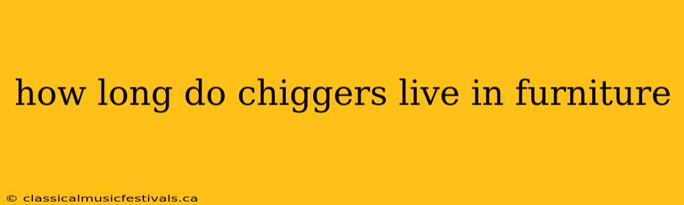 how long do chiggers live in furniture