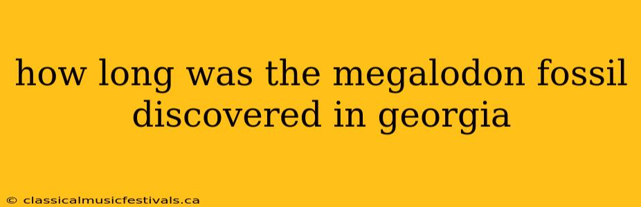 how long was the megalodon fossil discovered in georgia