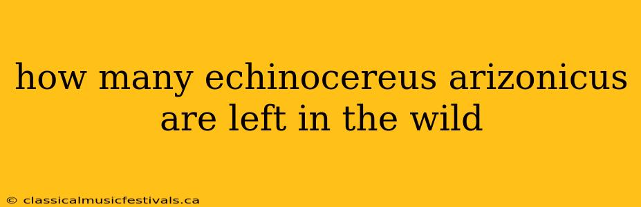 how many echinocereus arizonicus are left in the wild