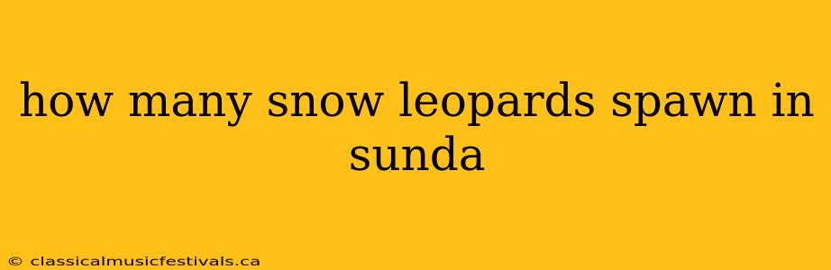 how many snow leopards spawn in sunda