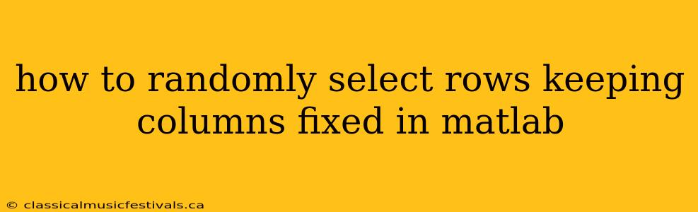how to randomly select rows keeping columns fixed in matlab