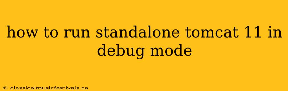 how to run standalone tomcat 11 in debug mode