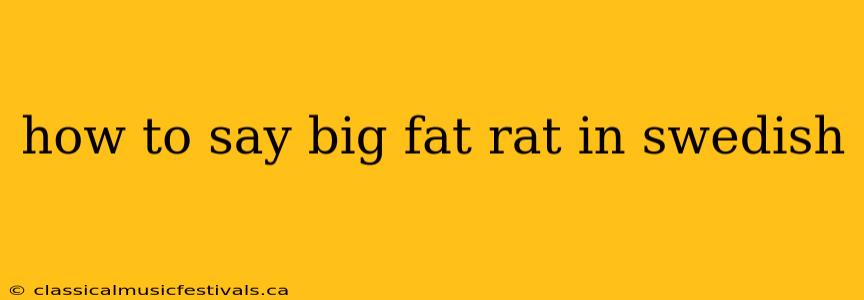 how to say big fat rat in swedish