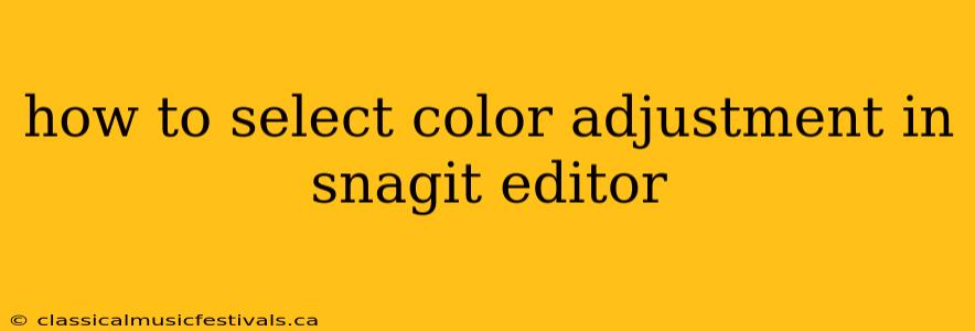 how to select color adjustment in snagit editor