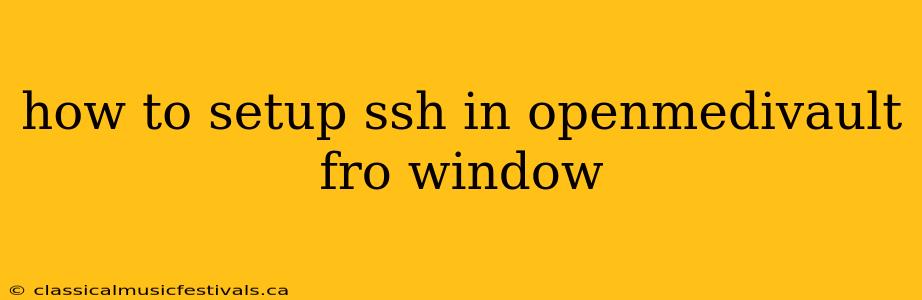 how to setup ssh in openmedivault fro window