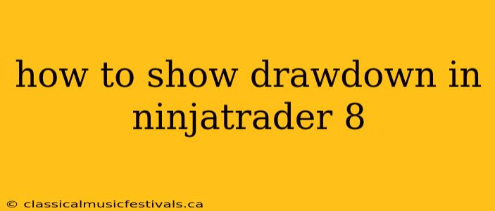 how to show drawdown in ninjatrader 8