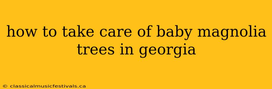 how to take care of baby magnolia trees in georgia