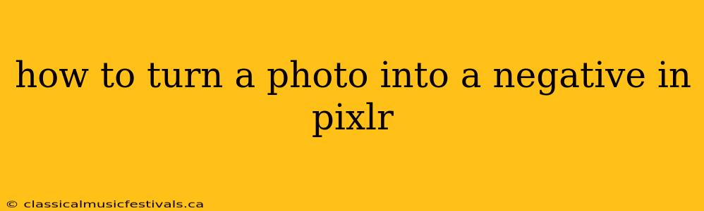 how to turn a photo into a negative in pixlr