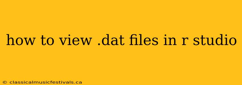 how to view .dat files in r studio