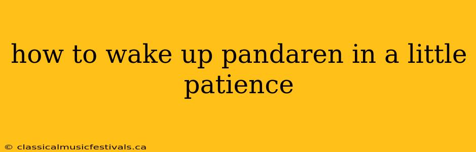 how to wake up pandaren in a little patience