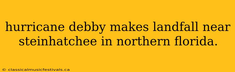 hurricane debby makes landfall near steinhatchee in northern florida.