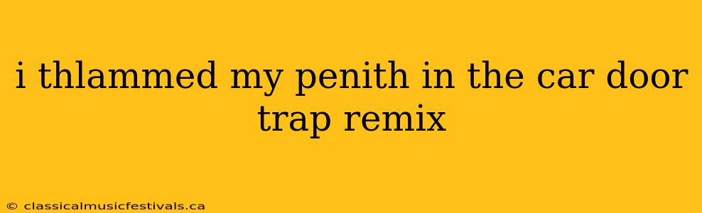 i thlammed my penith in the car door trap remix