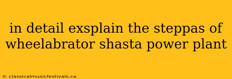 in detail exsplain the steppas of wheelabrator shasta power plant