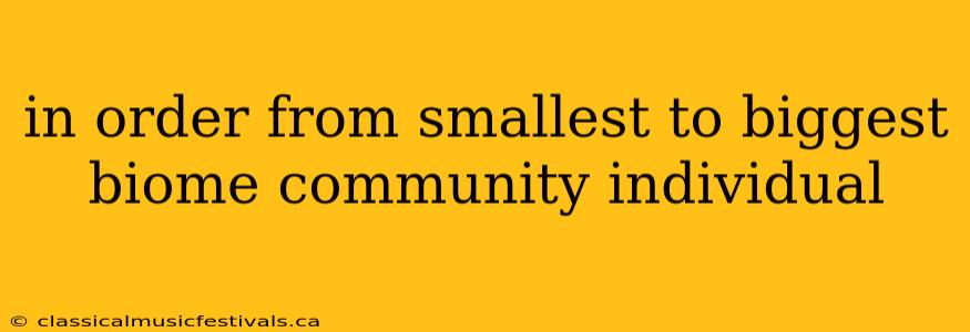 in order from smallest to biggest biome community individual