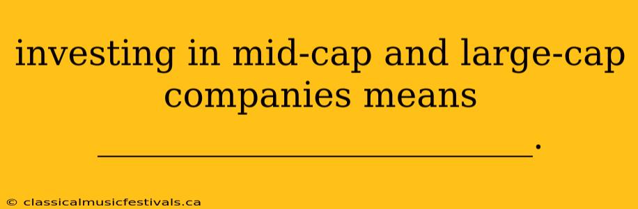 investing in mid-cap and large-cap companies means _________________________.