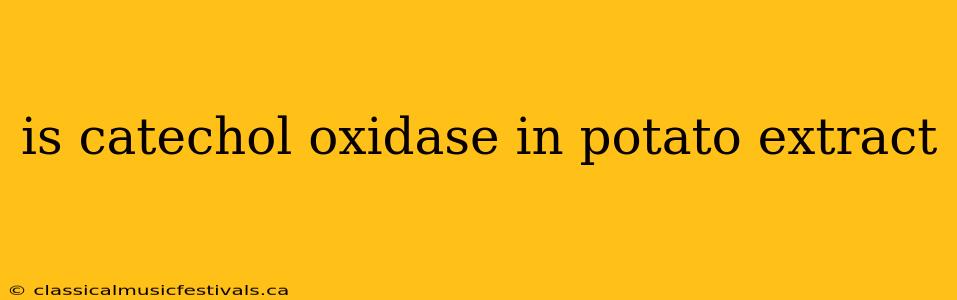 is catechol oxidase in potato extract