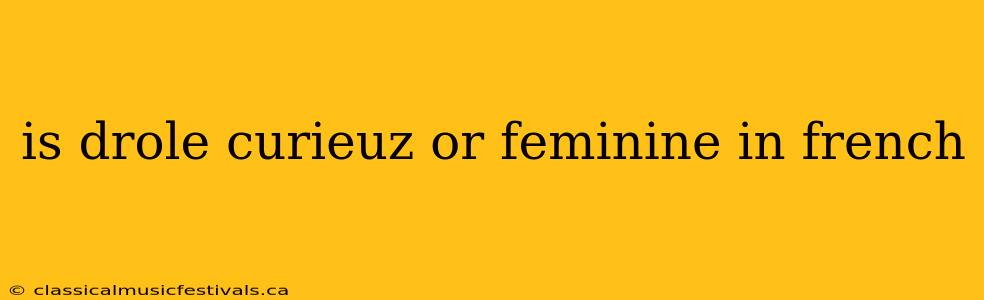 is drole curieuz or feminine in french