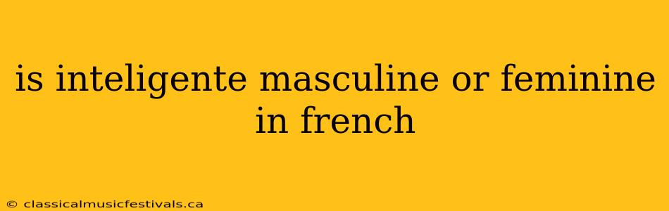 is inteligente masculine or feminine in french