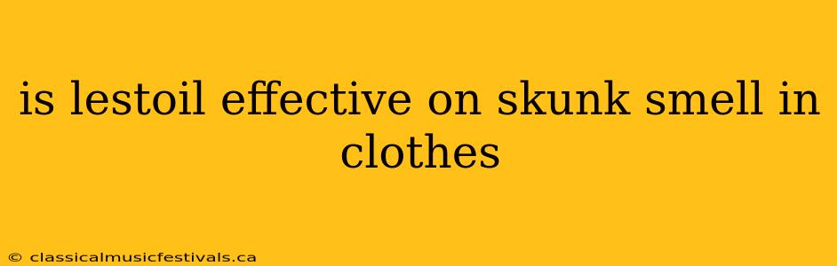 is lestoil effective on skunk smell in clothes