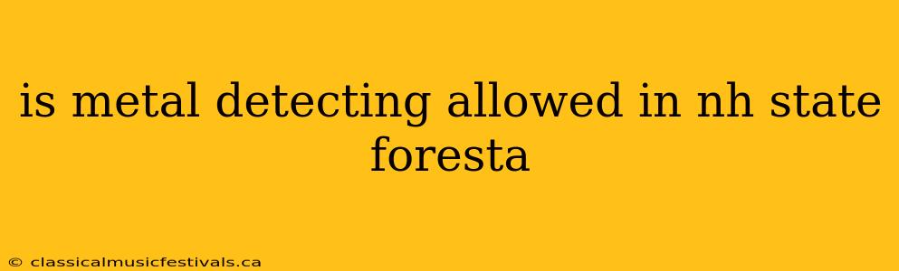 is metal detecting allowed in nh state foresta