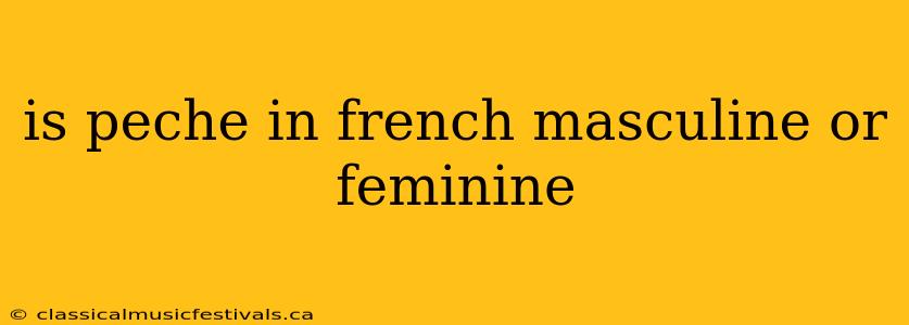 is peche in french masculine or feminine