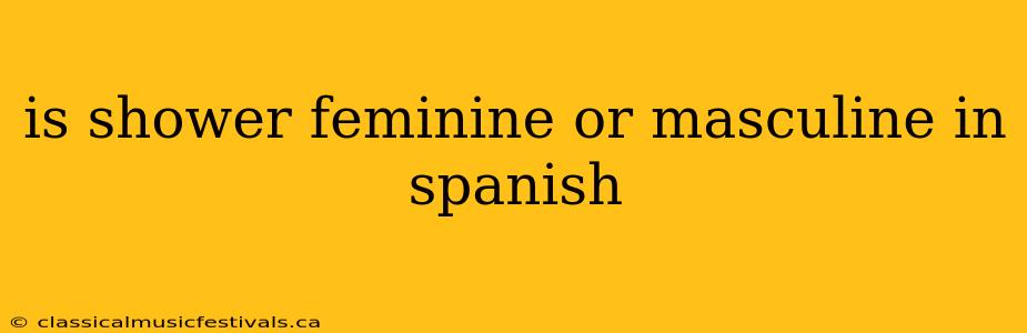 is shower feminine or masculine in spanish