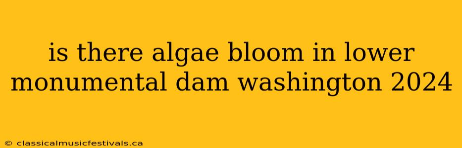 is there algae bloom in lower monumental dam washington 2024