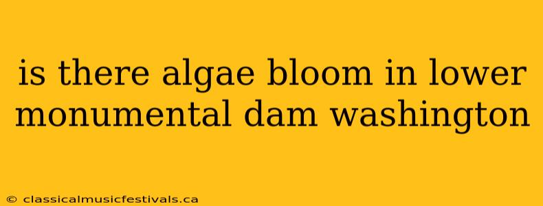 is there algae bloom in lower monumental dam washington