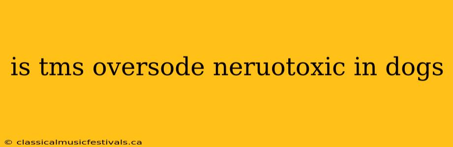 is tms oversode neruotoxic in dogs