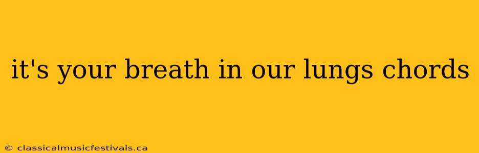 it's your breath in our lungs chords