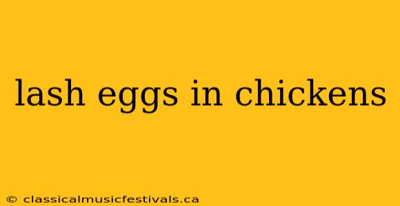 lash eggs in chickens