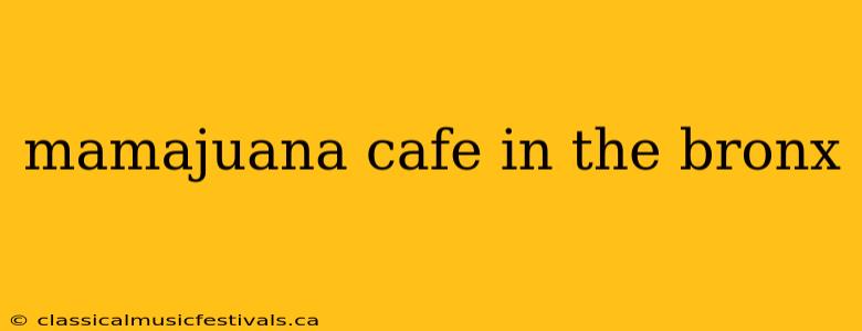 mamajuana cafe in the bronx