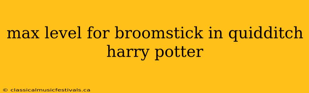 max level for broomstick in quidditch harry potter