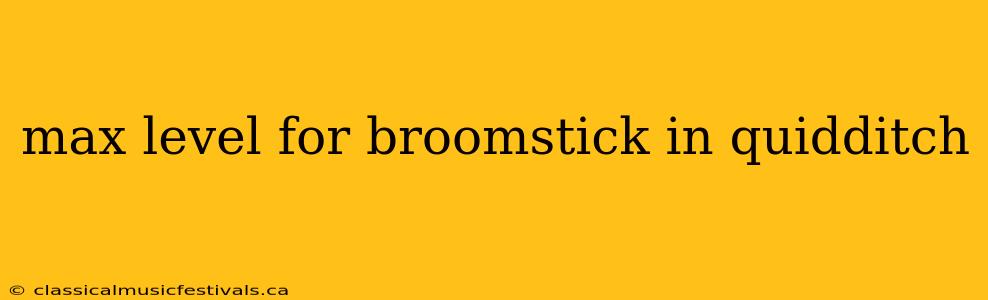 max level for broomstick in quidditch