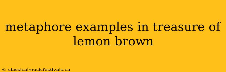 metaphore examples in treasure of lemon brown