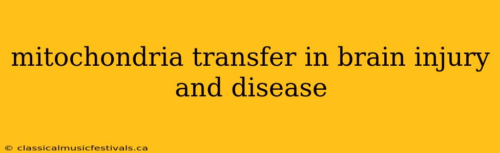 mitochondria transfer in brain injury and disease