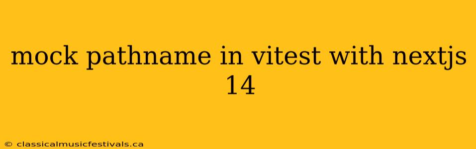 mock pathname in vitest with nextjs 14