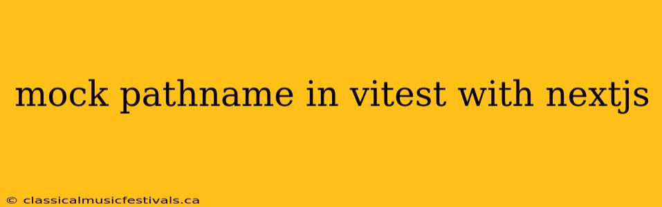 mock pathname in vitest with nextjs