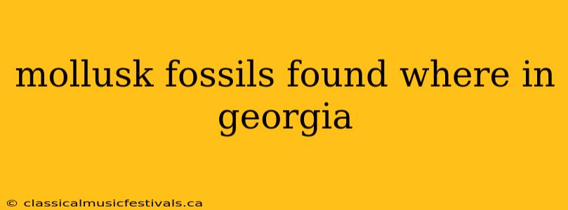 mollusk fossils found where in georgia