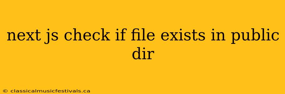 next js check if file exists in public dir