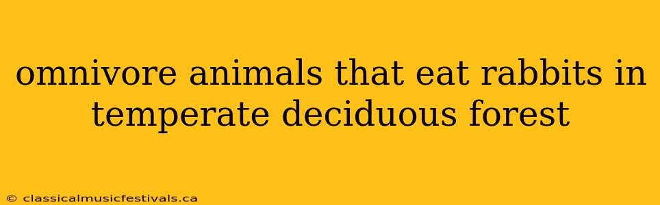 omnivore animals that eat rabbits in temperate deciduous forest