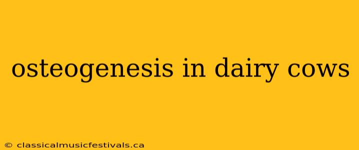 osteogenesis in dairy cows