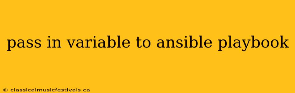 pass in variable to ansible playbook