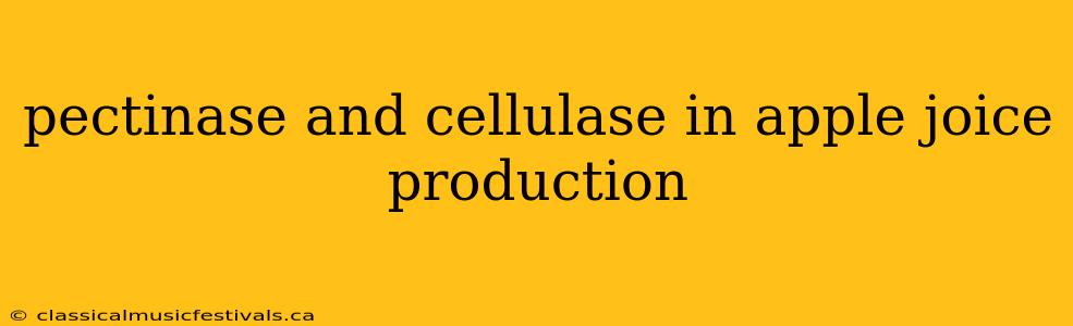 pectinase and cellulase in apple joice production