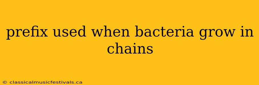 prefix used when bacteria grow in chains