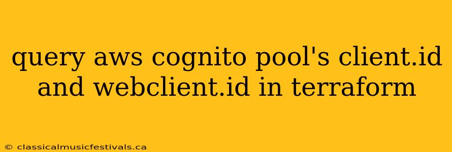 query aws cognito pool's client.id and webclient.id in terraform