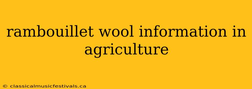 rambouillet wool information in agriculture